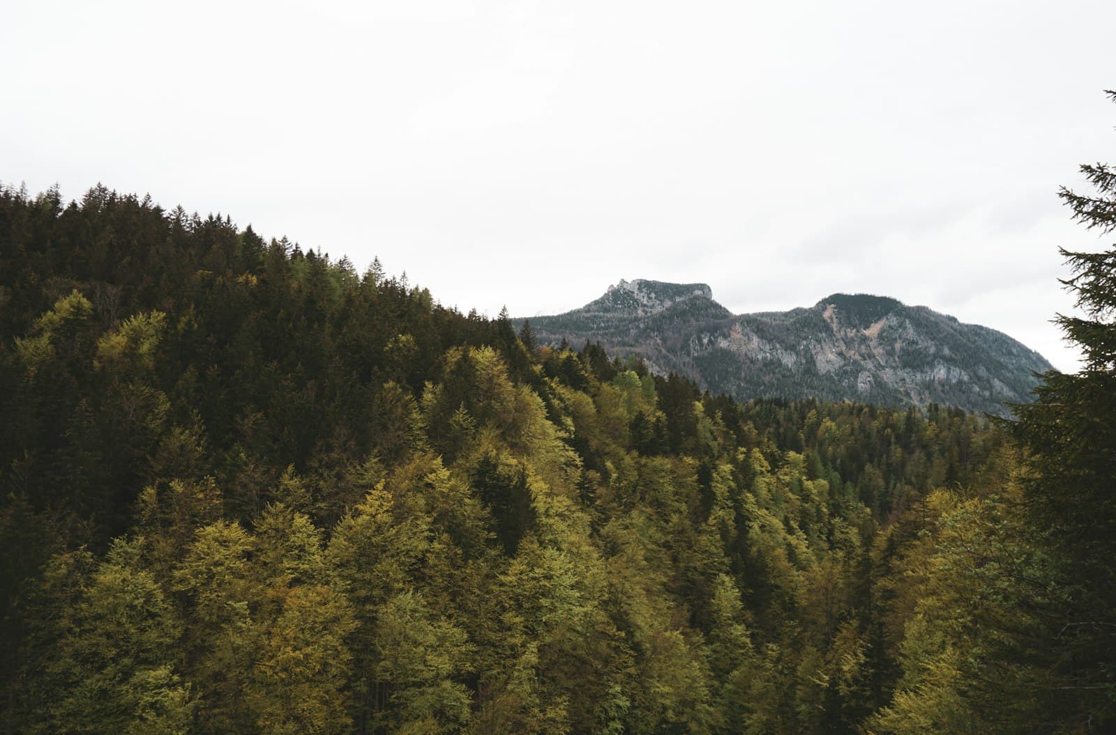 Naturfreunde: Klettern zwischen Natur und Outdoor